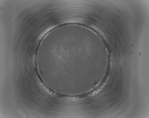 X0000085261121200703161357