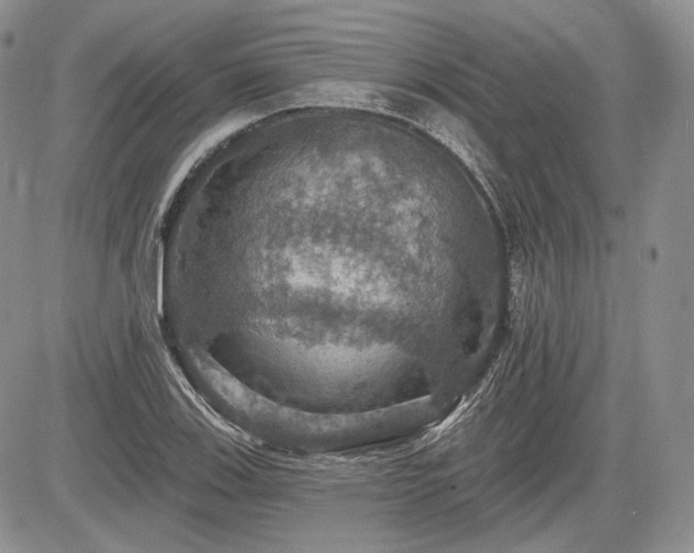 X0000085261123200703161357