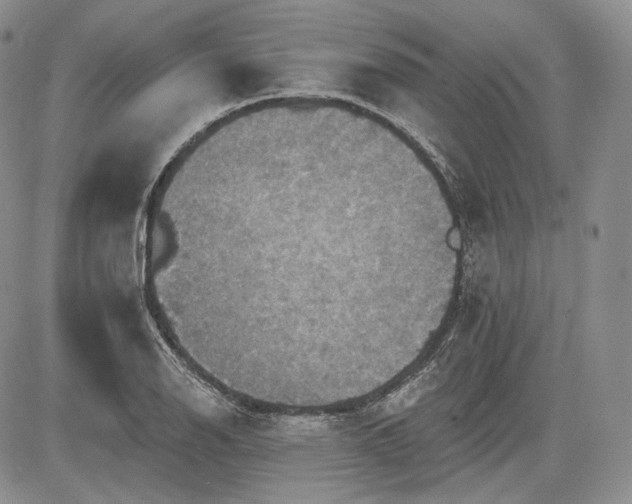 X0000085261126200703161357