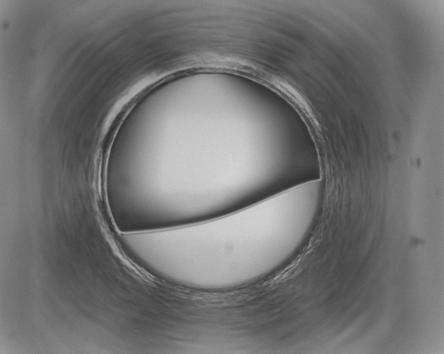 X0000085261128200703161357