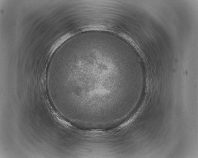 X0000085261129200703161357