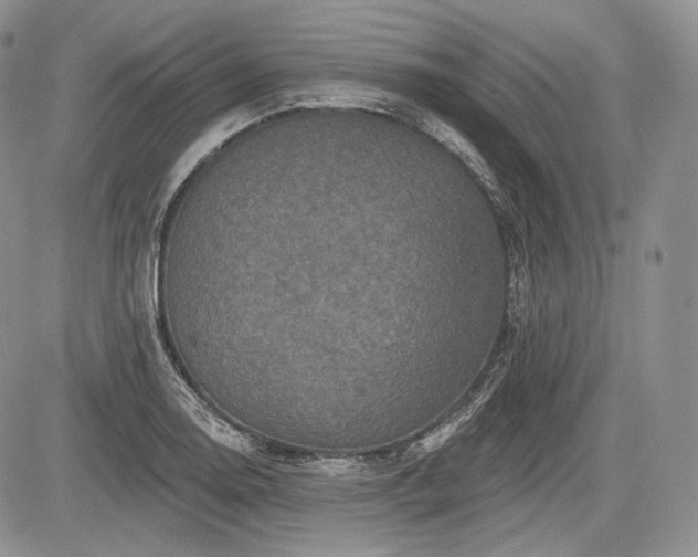 X0000085261130200703161357