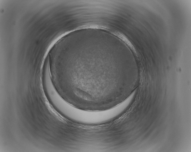 X0000085261132200703161357