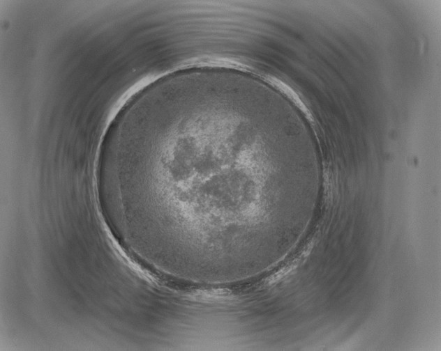 X0000085261133200703161357