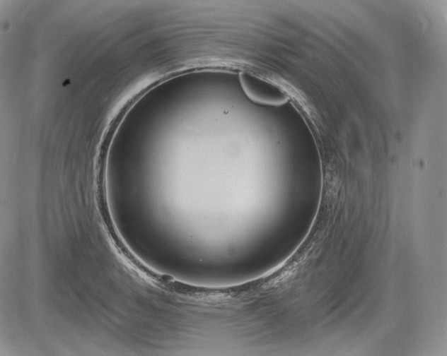 X0000085261135200703161357