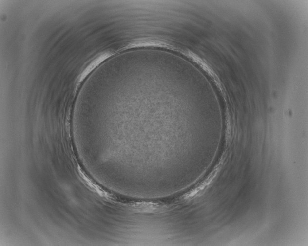 X0000085261137200703161357