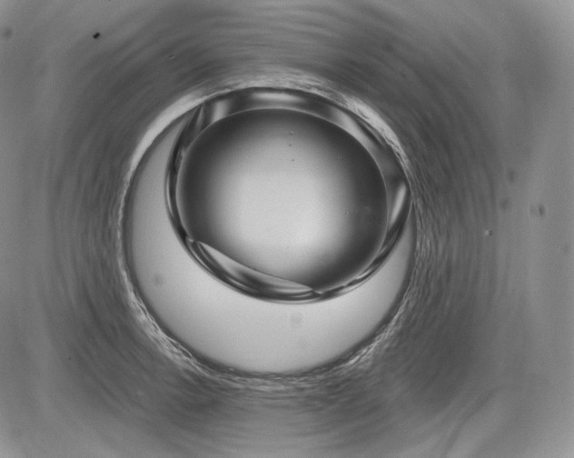 X0000085261138200703161357