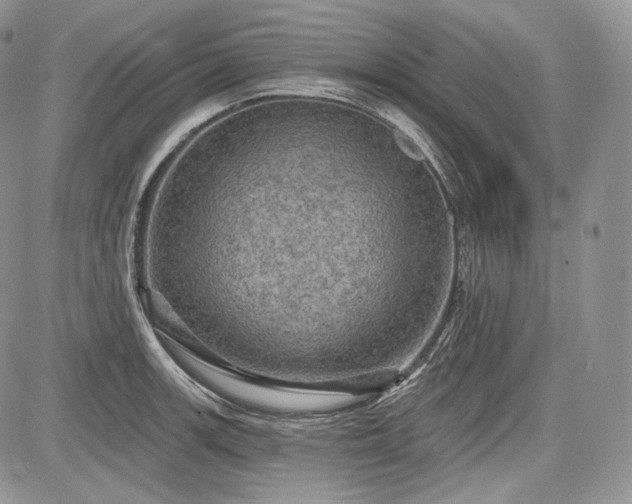 X0000085261139200703161357