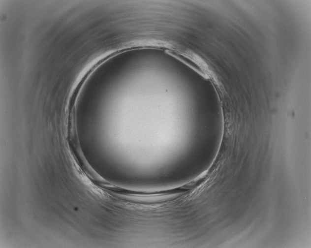 X0000085261140200703161357