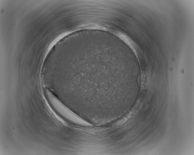 X0000085261141200703161357