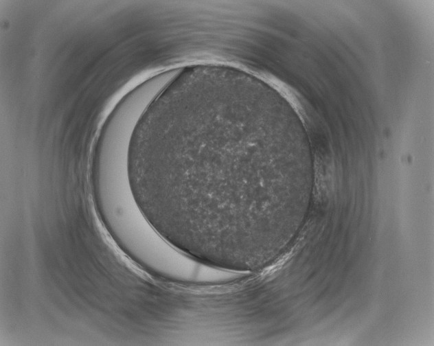 X0000085261142200703161357