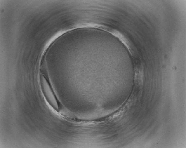 X0000085261143200703161357