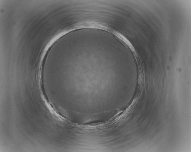 X0000085261144200703161357