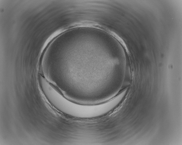 X0000085261146200703161357