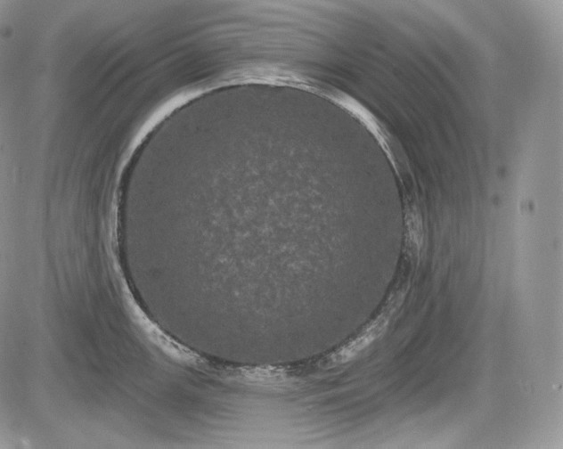 X0000085261147200703161357