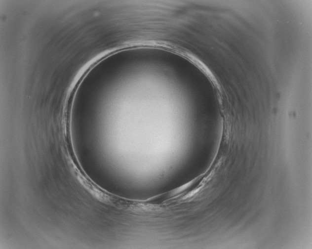 X0000085261148200703161357