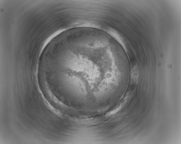 X0000085261149200703161357