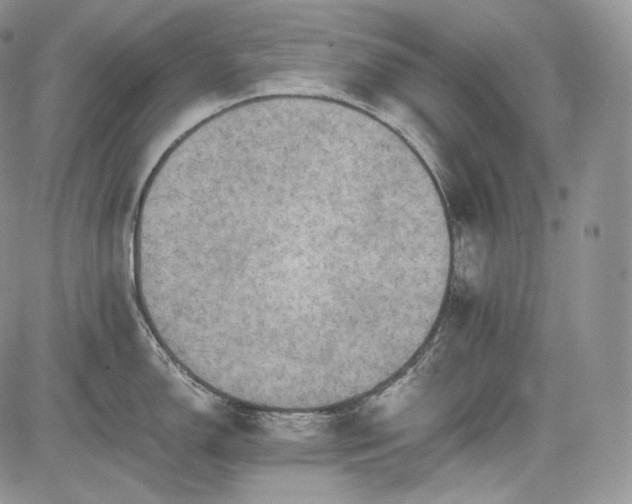 X0000085261150200703161357