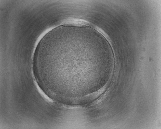 X0000085261152200703161357