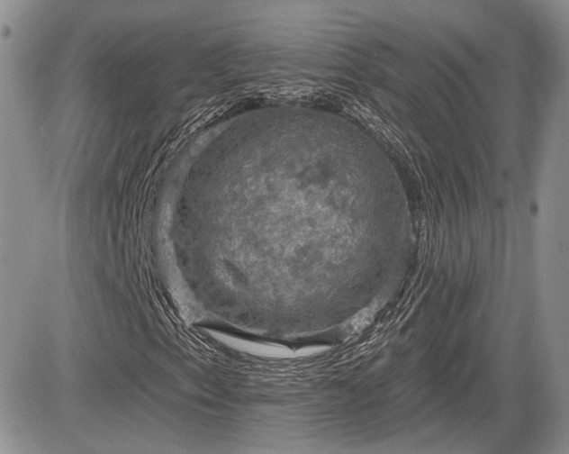 X0000085261153200703161356