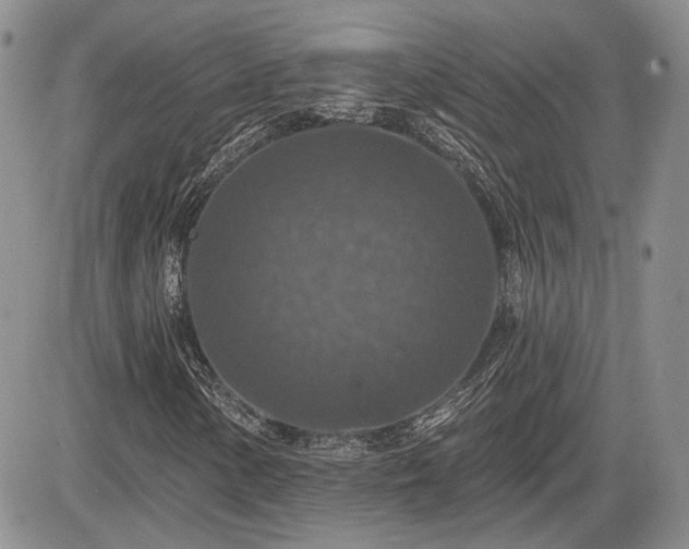 X0000085261154200703161356