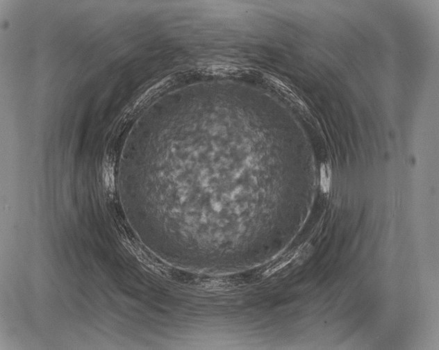 X0000085261155200703161356