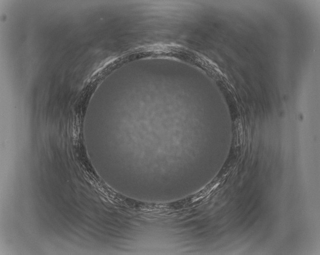 X0000085261158200703161356