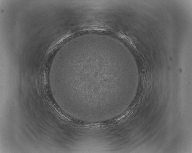 X0000085261159200703161356