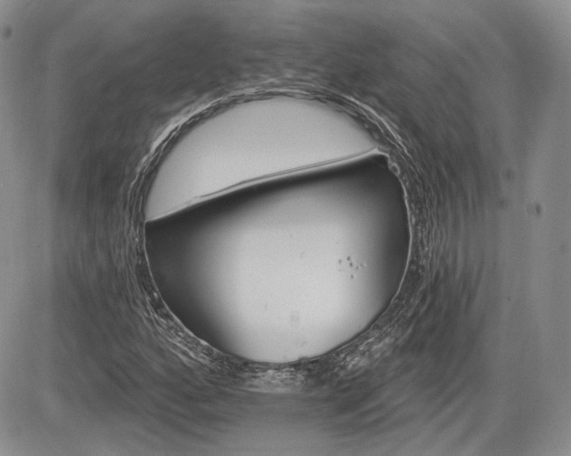 X0000085261160200703161356