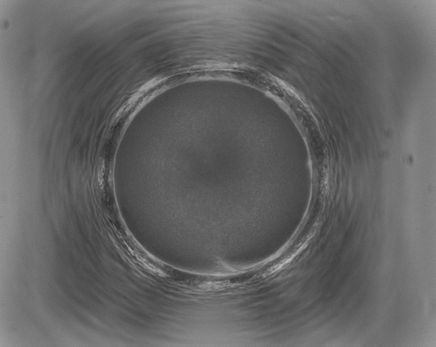 X0000085261161200703161356