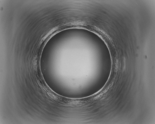 X0000085261162200703161356