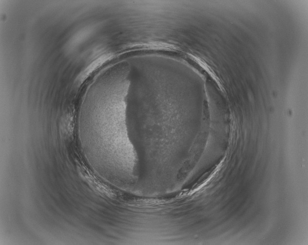 X0000085261163200703161356