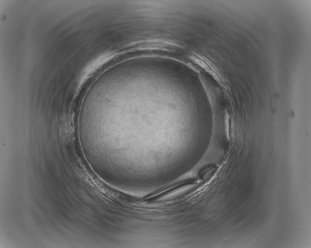 X0000085261164200703161356