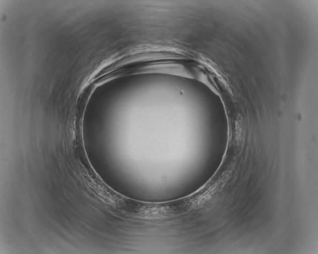 X0000085261165200703161356