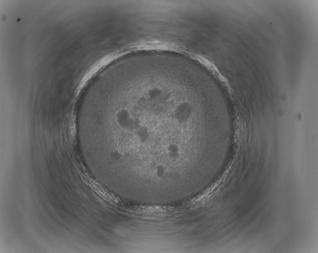 X0000085261167200703161356