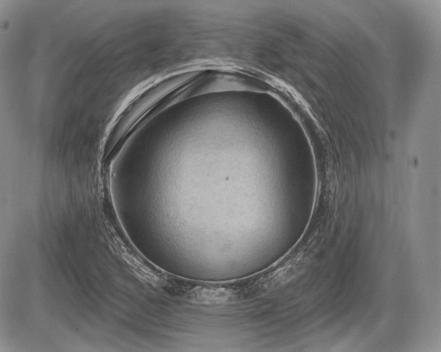 X0000085261168200703161356