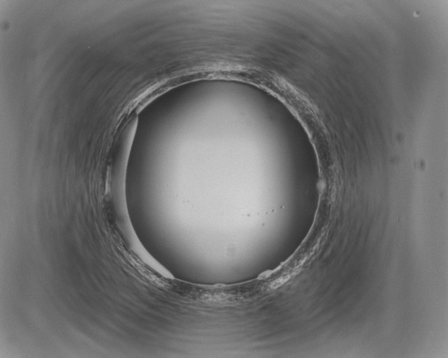 X0000085261169200703161356