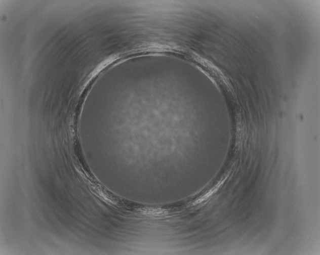 X0000085261170200703161356