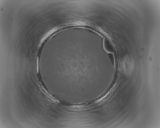 X0000085261171200703161356