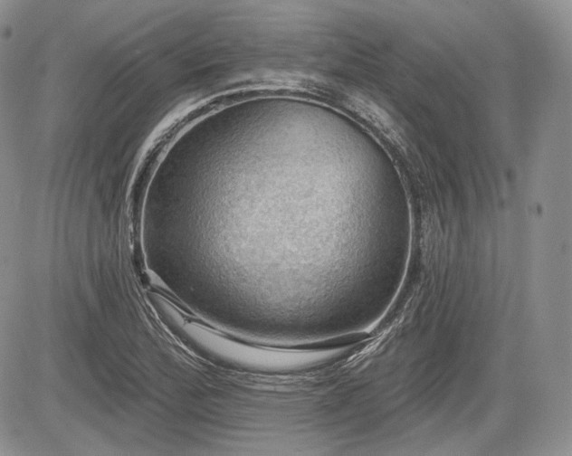 X0000085261172200703161356