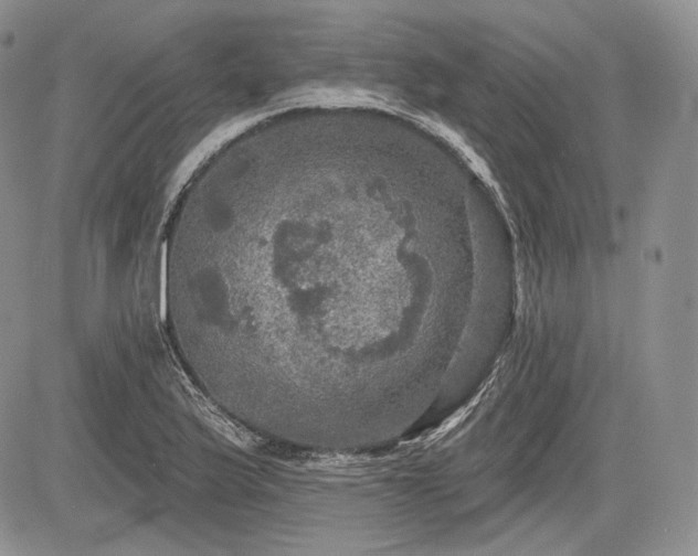 X0000085261175200703161356