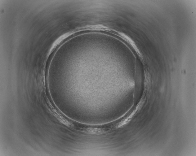 X0000085261176200703161356