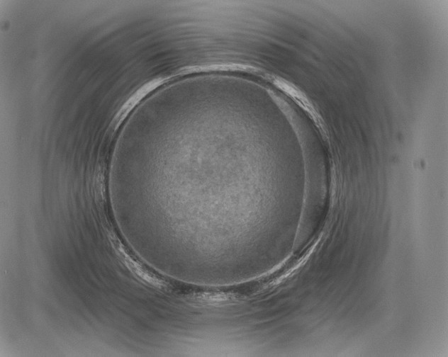 X0000085261177200703161356