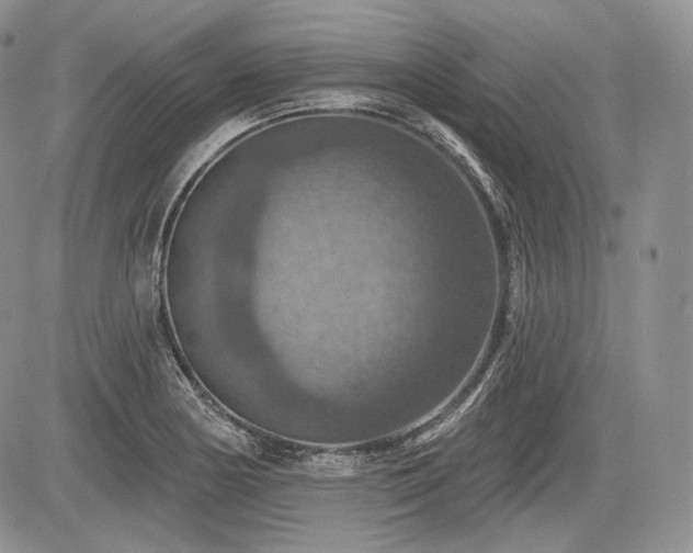 X0000085261178200703161356