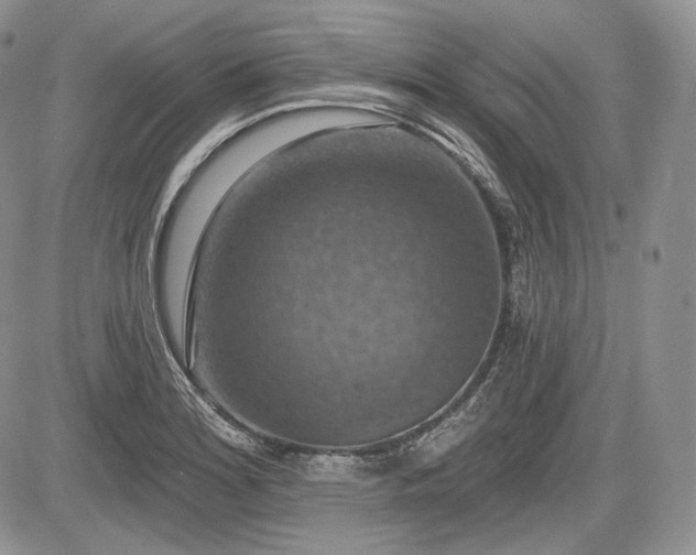 X0000085261180200703161356