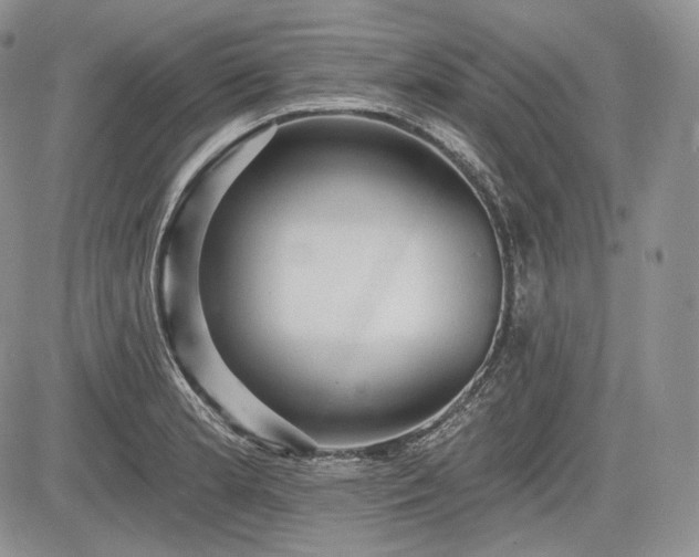 X0000085261181200703161356