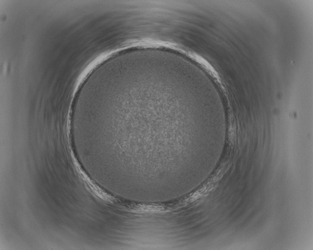 X0000085261183200703161356