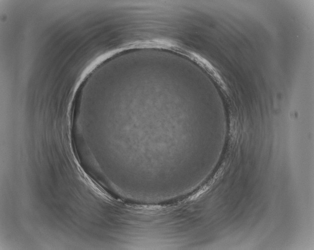 X0000085261184200703161356