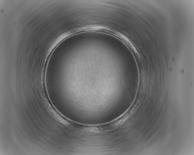 X0000085261186200703161356