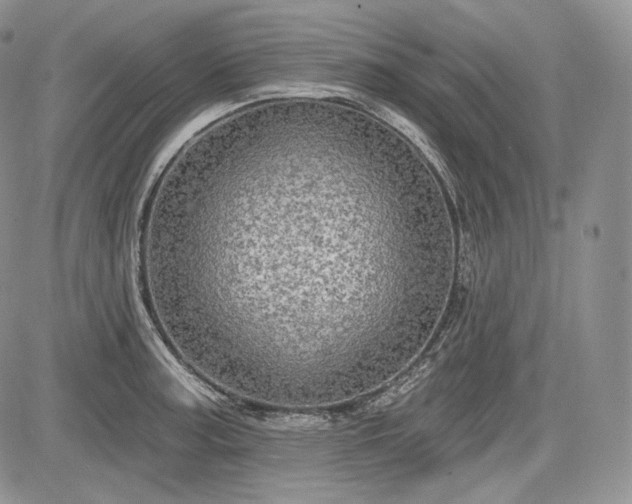 X0000085261187200703161356